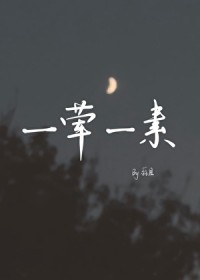 一荤一素女生版
