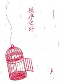 秩序之外短剧